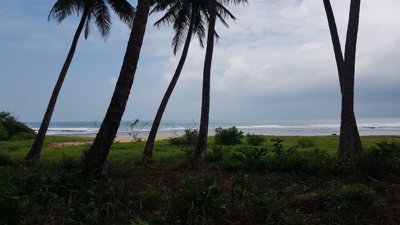 Oseda Nias Surf House Hotel Hilibotodane Ngoại thất bức ảnh